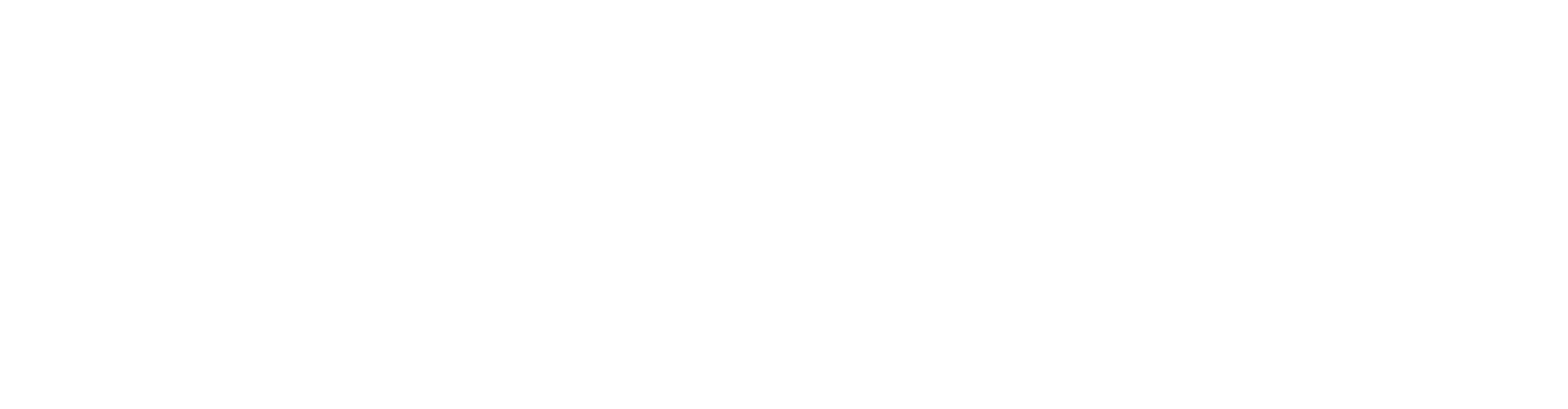 SkyVision Logo